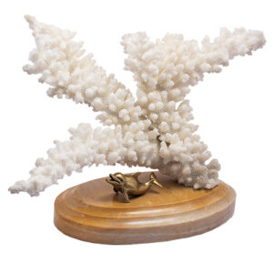 Сувенир  “Коралл на мраморе”