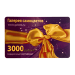 Сертификат Подарочный 3000 руб.