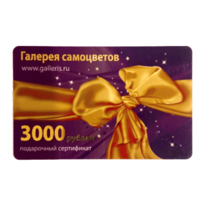 Сертификат Подарочный 3000 руб.