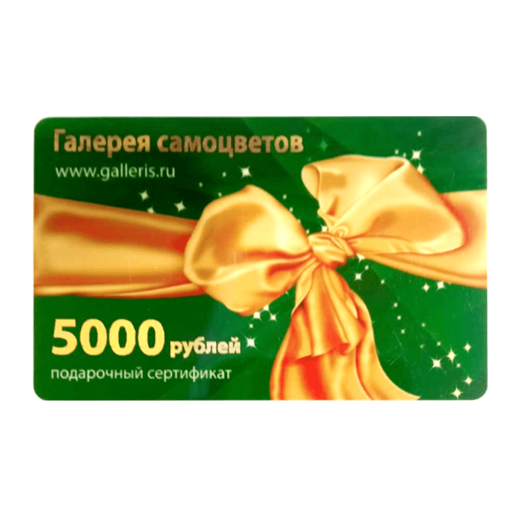 Сертификат Подарочный 5000 руб.