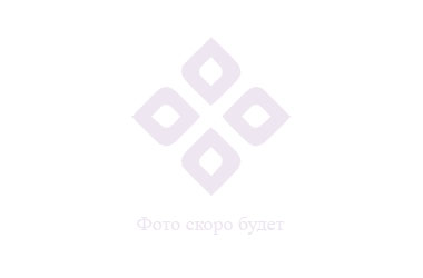 Галерея Самоцветов логотип